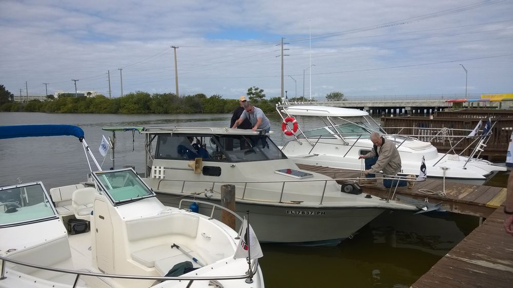 Arrival of the fleet